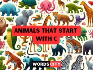 Animals That Start With C