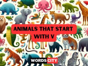 Animals That Start With V