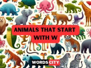 Animals That Start With W