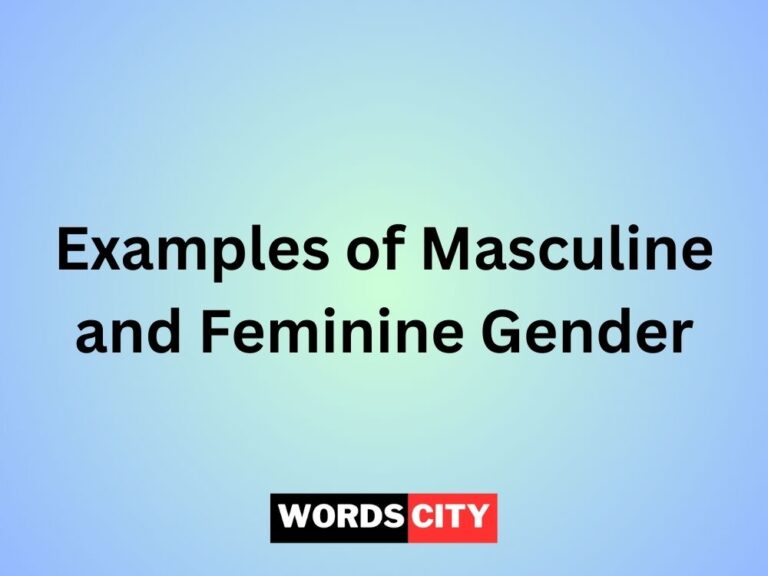 Examples of Masculine and Feminine Gender