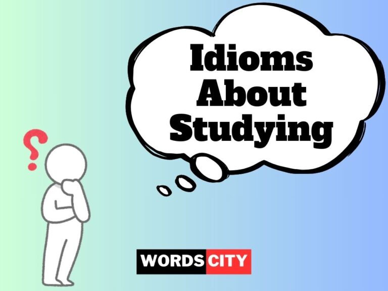 Idioms About Studying