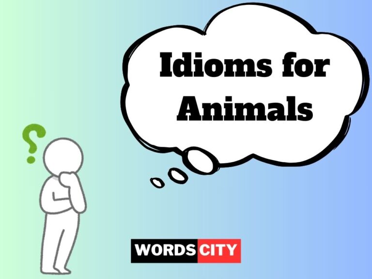 Idioms for Animals