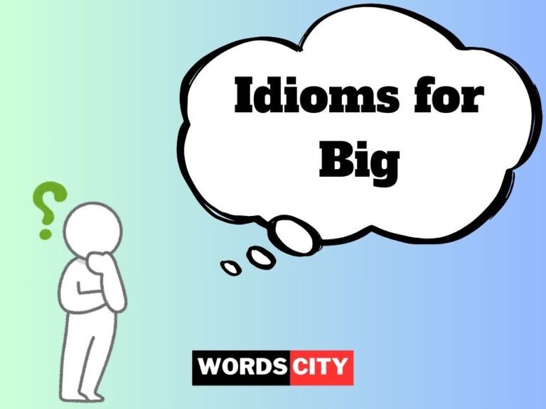 Idioms for Big