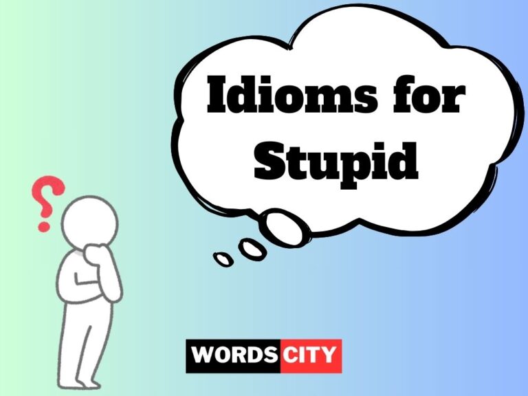 Idioms for Stupid