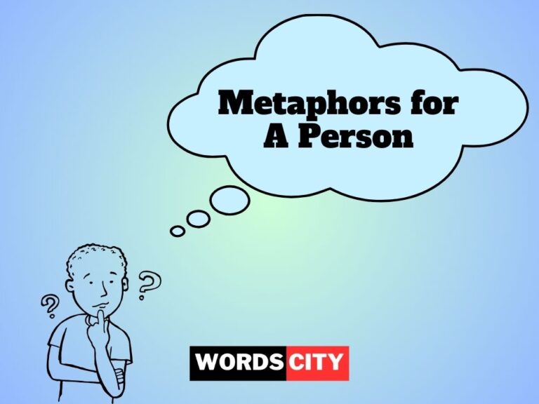 Metaphors for A Person