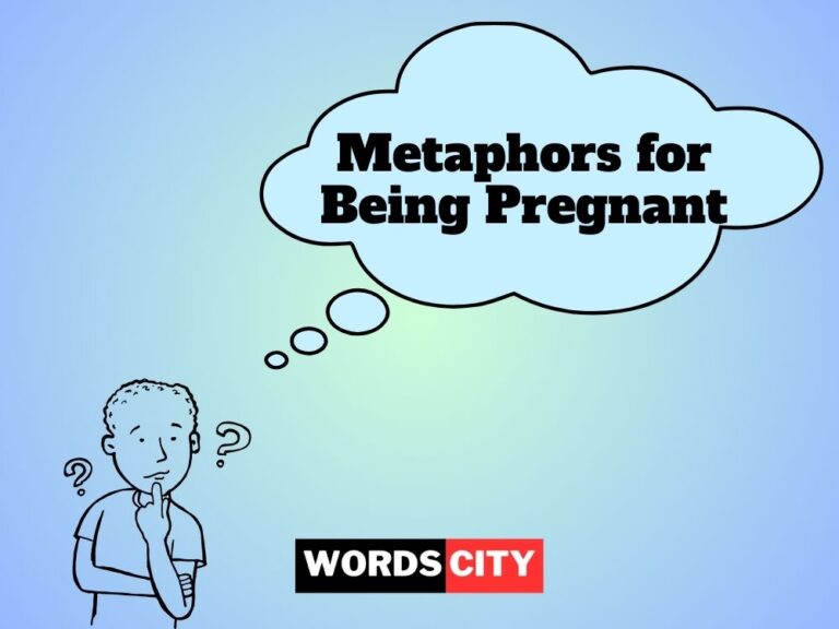Metaphors for Being Pregnant