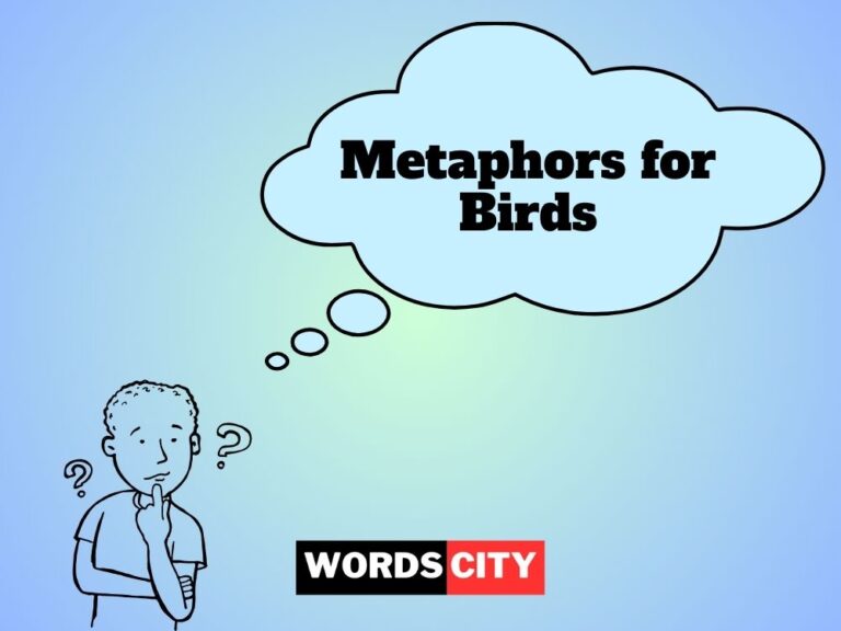 Metaphors for Birds