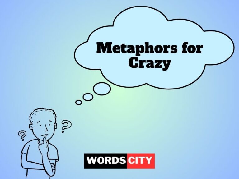 Metaphors for Crazy