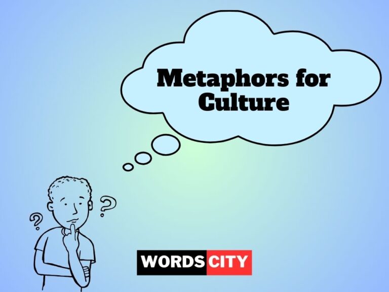 Metaphors for Culture