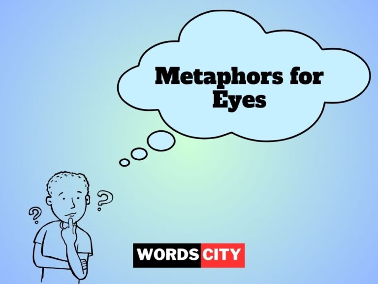 Metaphors for Eyes