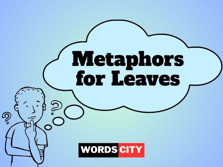 Metaphors for Leaves