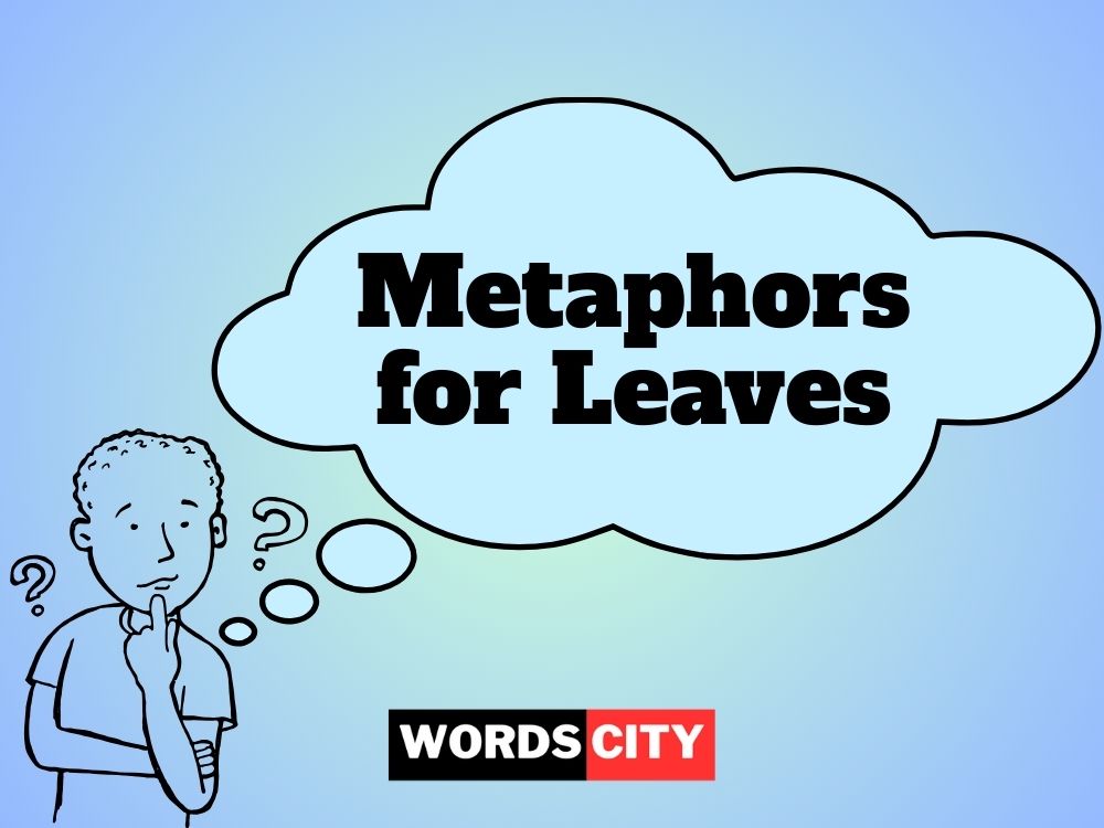 Metaphors for Leaves