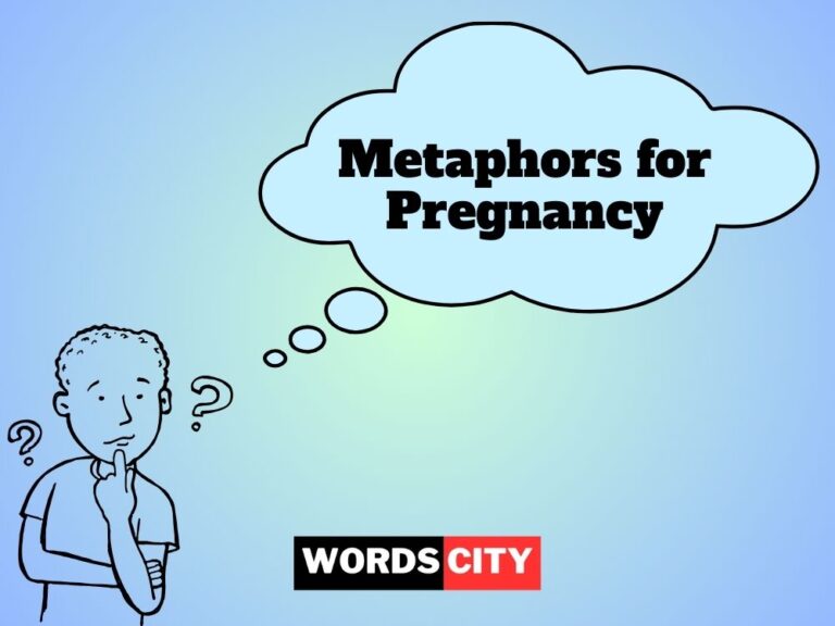 Metaphors for Pregnancy