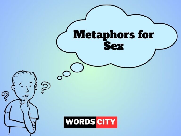 Metaphors for Sex