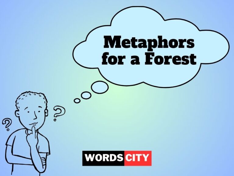 Metaphors for a Forest