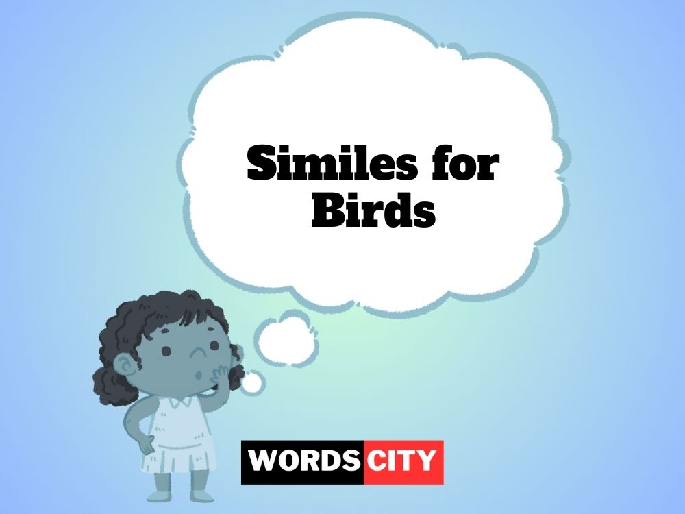 Similes for Birds