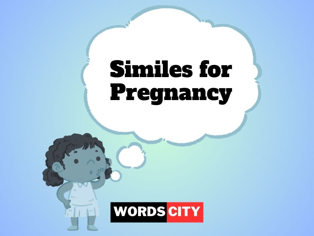 Similes for Pregnancy