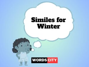 Similes for Winter