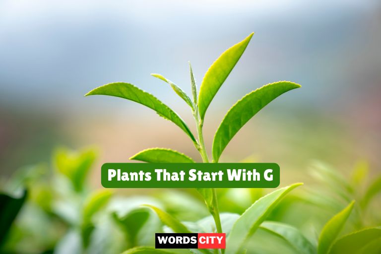 Plants That Start With G